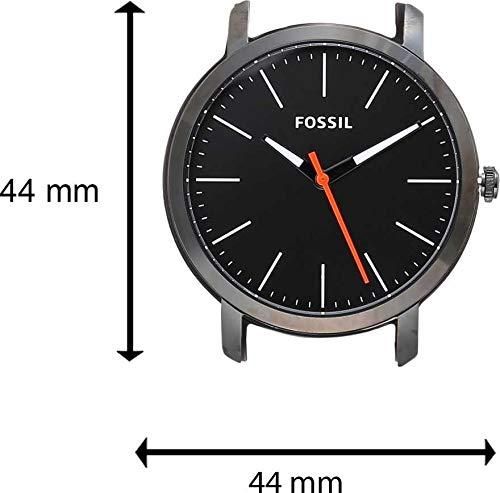 Fossil Luther